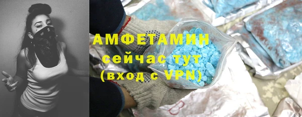 стаф Верея