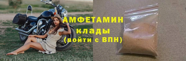 стаф Верея