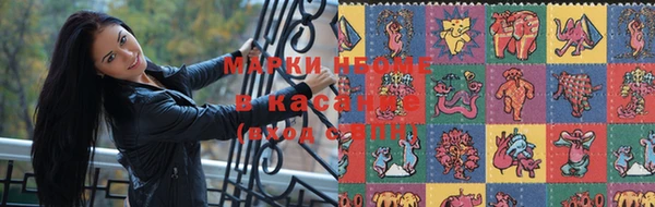 стаф Верея