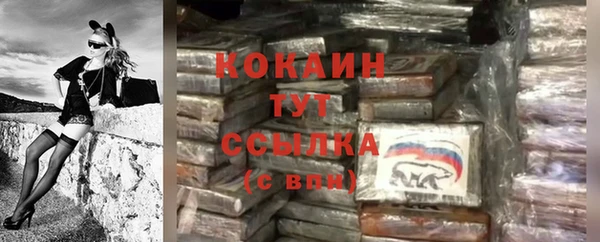 стаф Верея