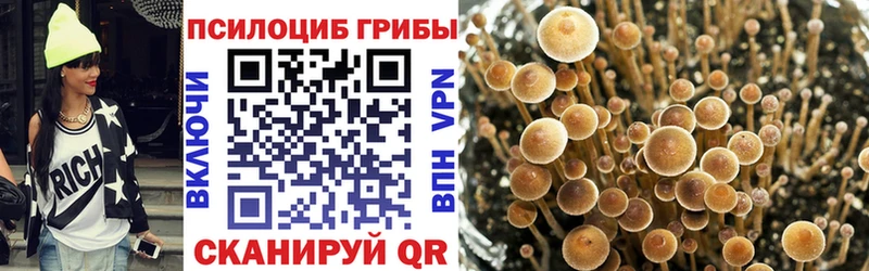 Псилоцибиновые грибы Cubensis  OMG ссылки  Видное 